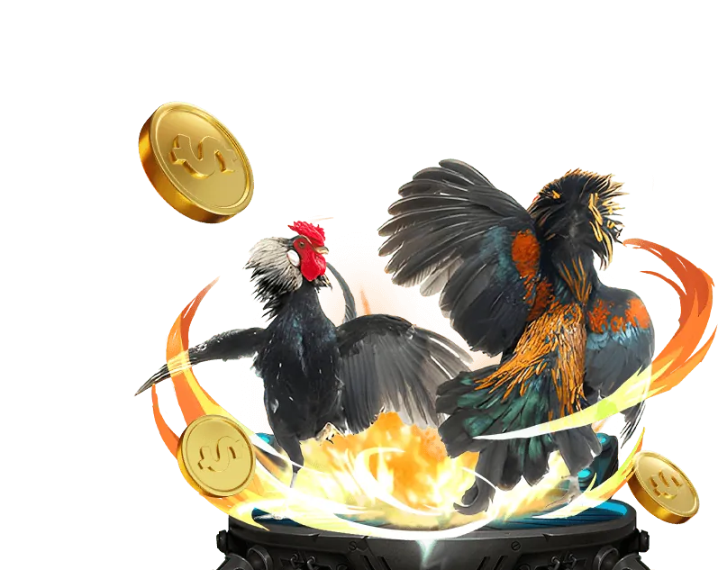 Sân đấu đá gà trực tuyến sôi động tại Win68 Bet